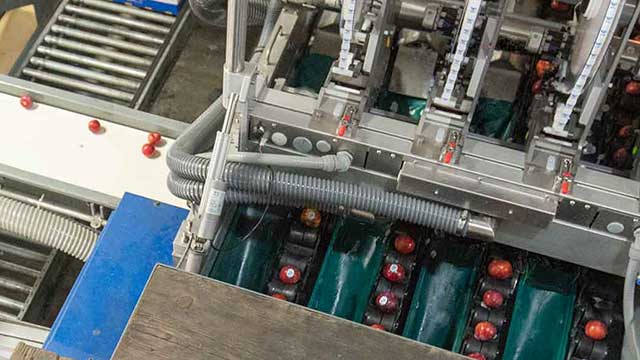 High-speed, automated fruit and vegetable labeling solutions for the packignhouse