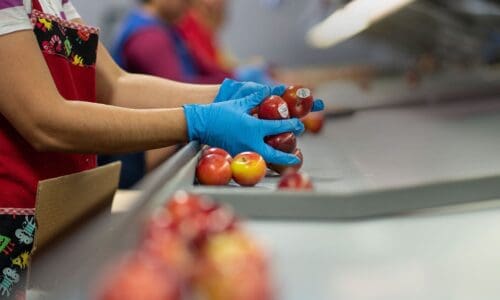 A guide to labeling apples