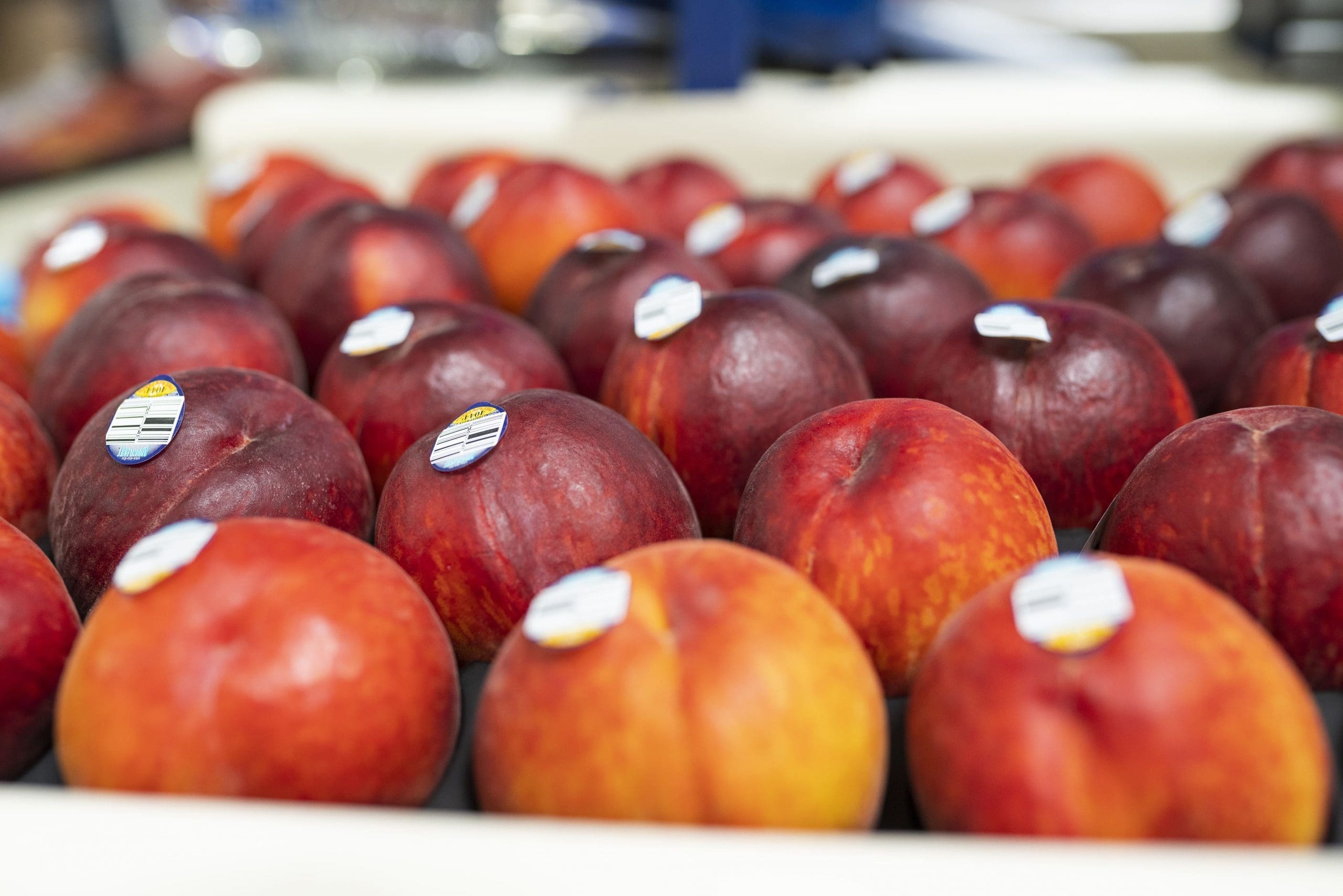 Compostable fresh produce labels