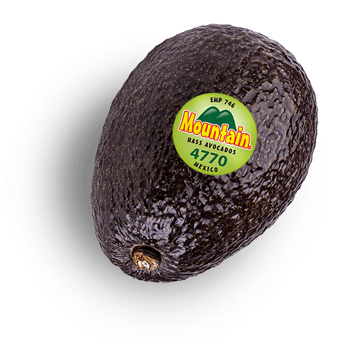 An avocado with a PLU sticker