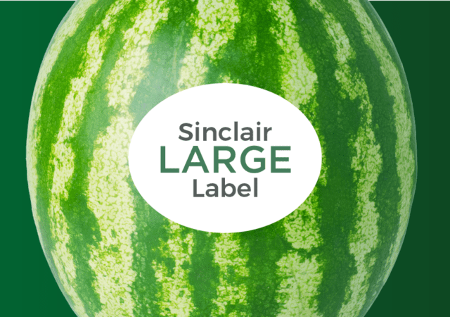 Supporting Image
