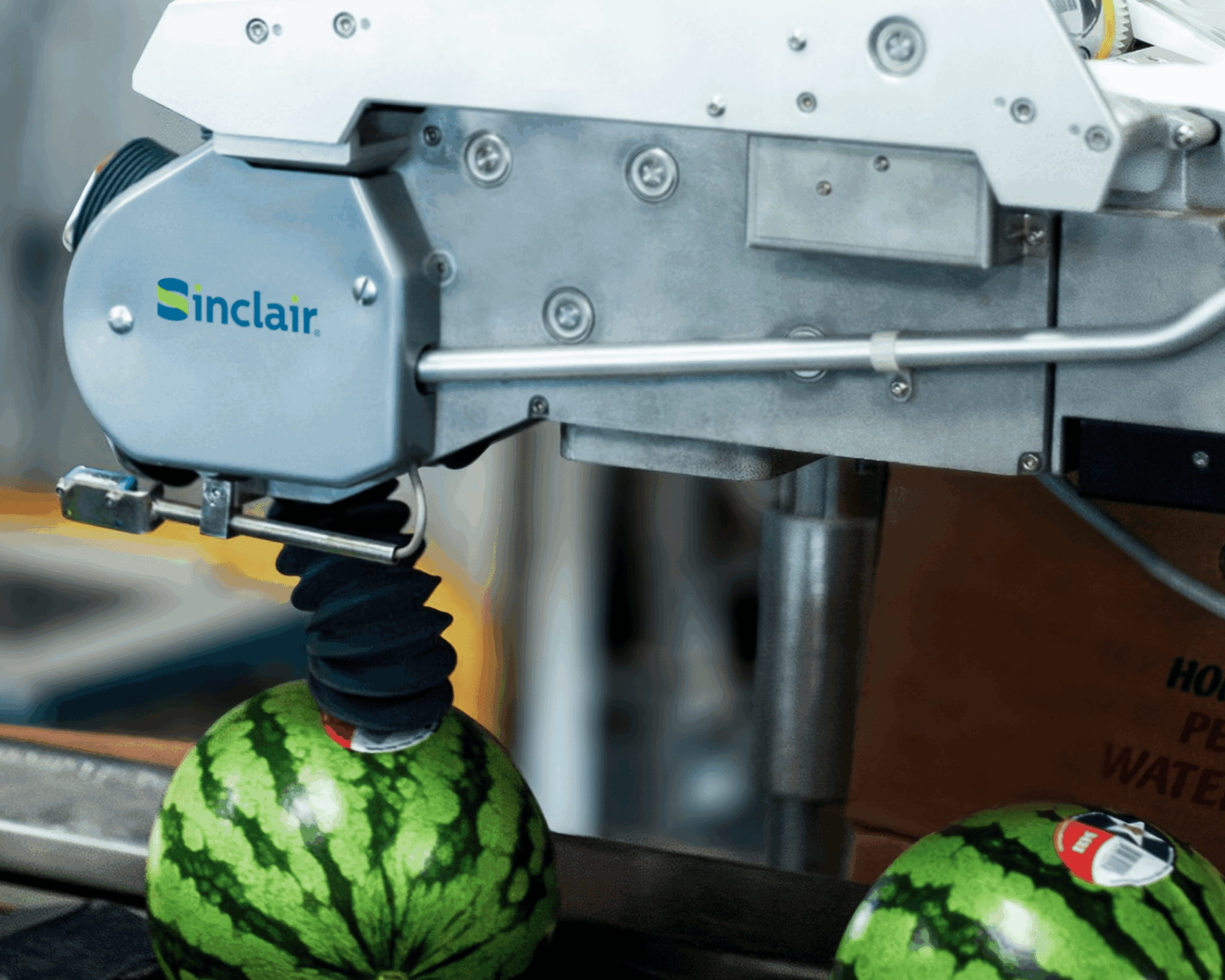 LLV6 machine labeling watermelons