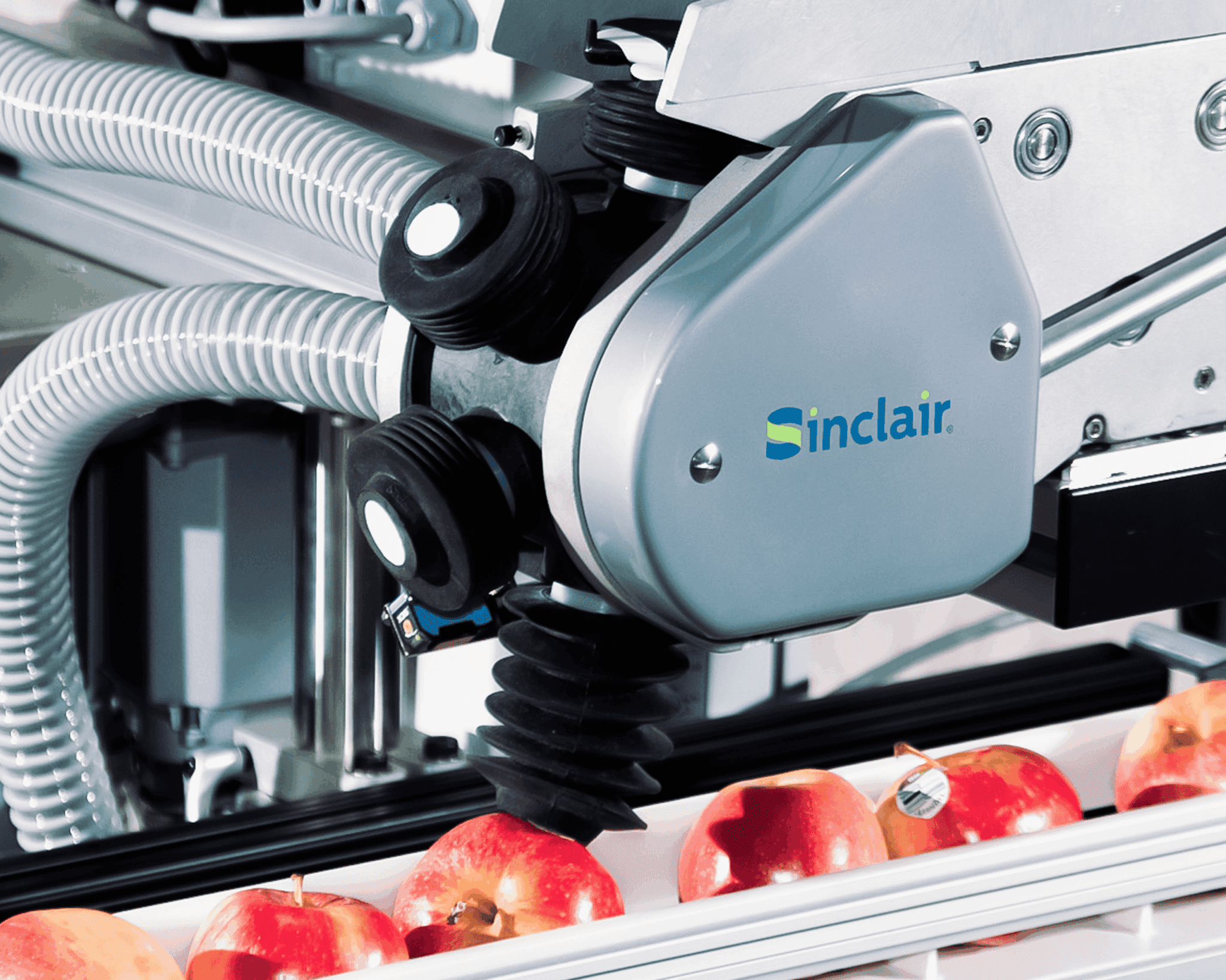 V6 machine close up labeling apples