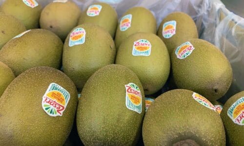 Compostable labels and credible claims: How Sinclair -T55 sets the standard in a scrutinized market 