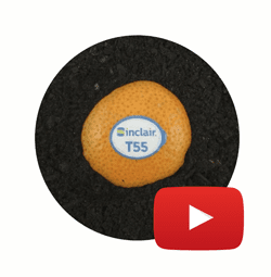 Sinclair-T55-composting-time-lapse-video-on-orange-peel