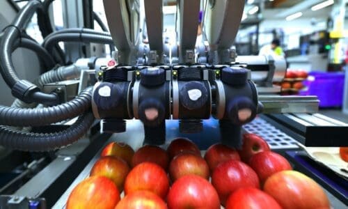 Small label, BIG Shift: Why compostable fruit labels offer a smart path to sustainable produce packaging