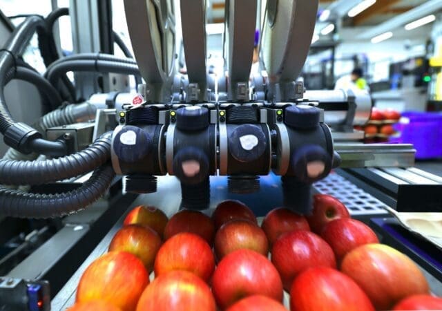 Una pequeña etiqueta, un gran cambio: por qué las etiquetas compostables son la clave hacia un envasado sostenible en frutas y hortalizas