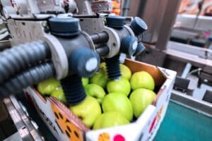 Apples in a tray being labelled