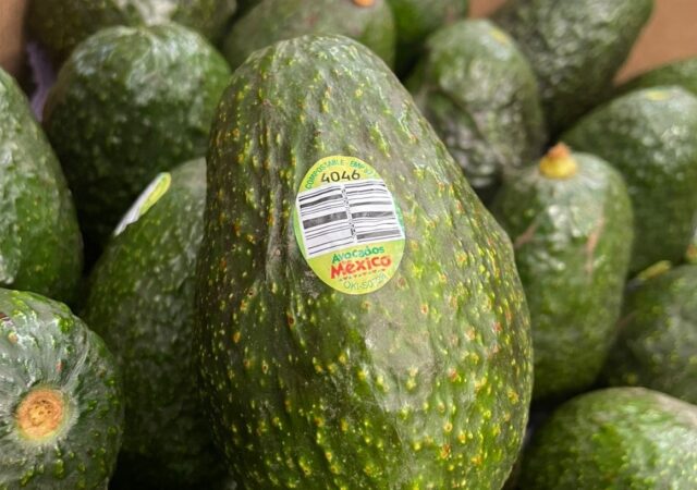 Procesadora Baika S. A. de C. V se convierte en la primera en México en adoptar etiquetas PLU compostables en aguacates