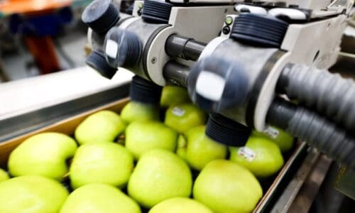 Compostable packaging: What it means for fresh produce labeling