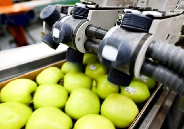 Compostable packaging: What it means for fresh produce labeling