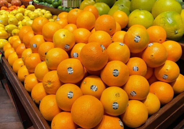 Navegando por el panorama compostable: regulación, innovación y responsabilidad