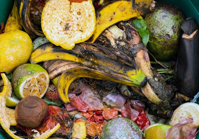 Guía para principiantes sobre cómo hacer compost