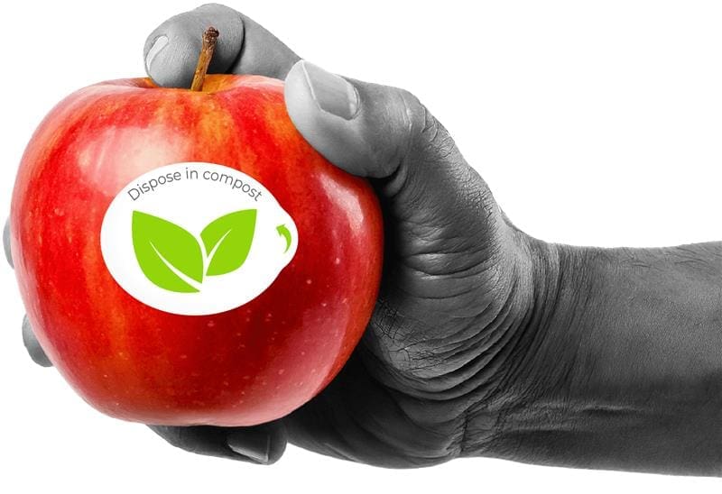 Hand holding an apple with a fruit sticker on