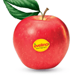 Evelina product