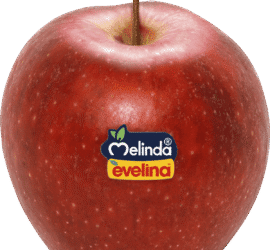 Melinda product