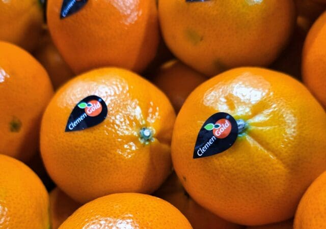 ClemenGold® and Sinclair: A partnership driving sustainability for South Africa and beyond