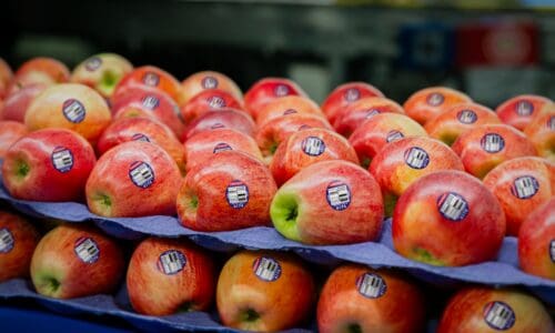 Copefrut and Sinclair: A shared vision for sustainable fruit packaging