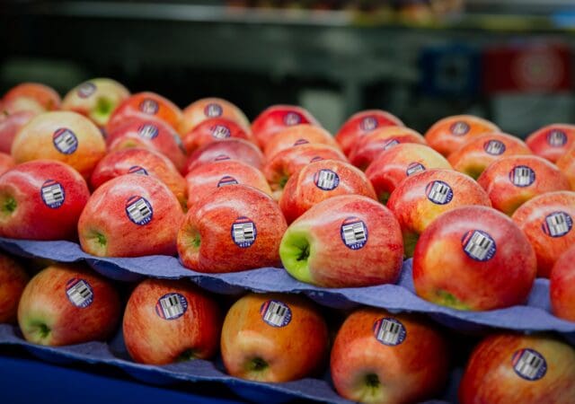 Copefrut y Sinclair: una visión compartida para el envasado sostenible de frutas