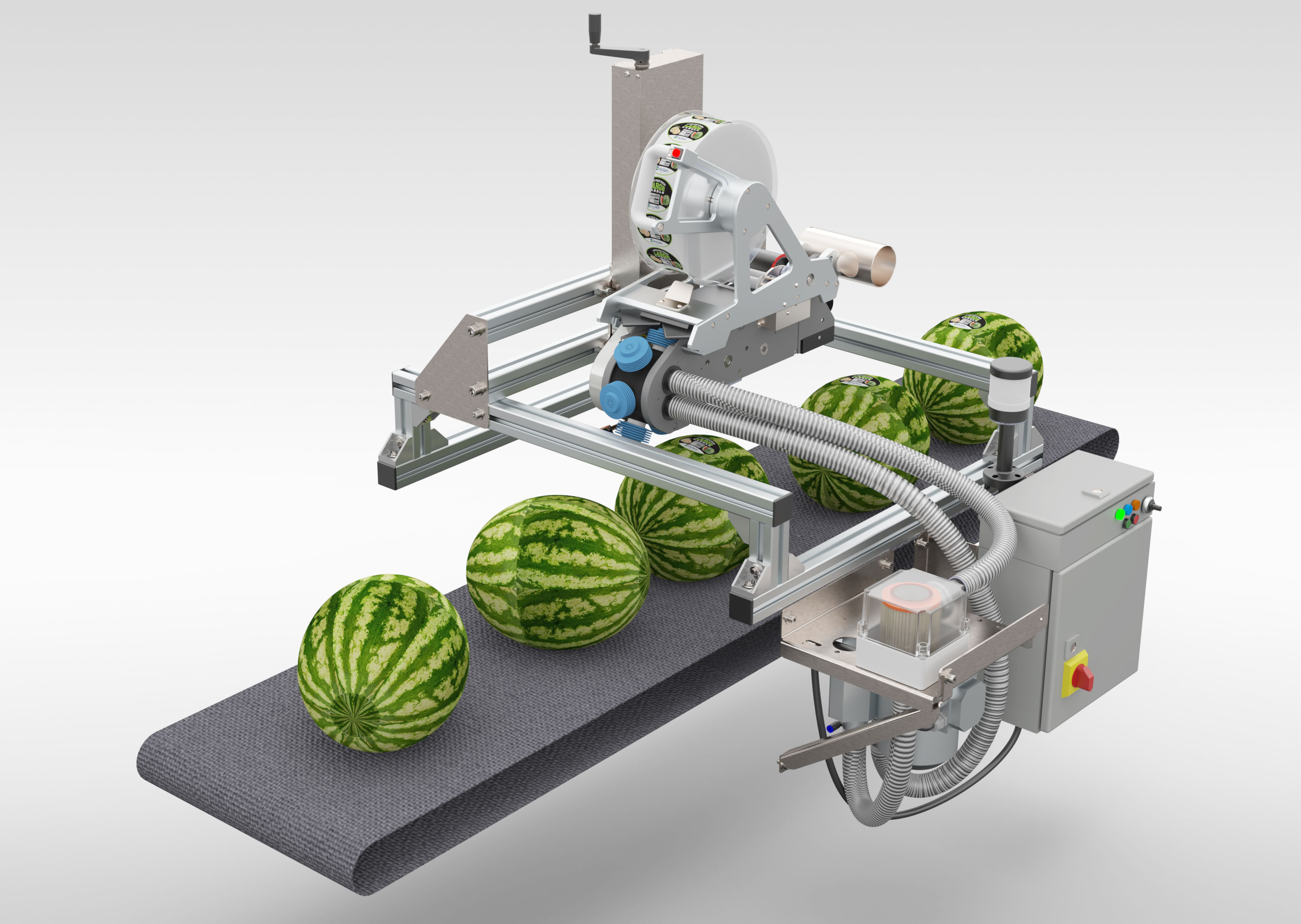 High-speed, automated large fruit and vegetable labeling solutions for the packinghouse